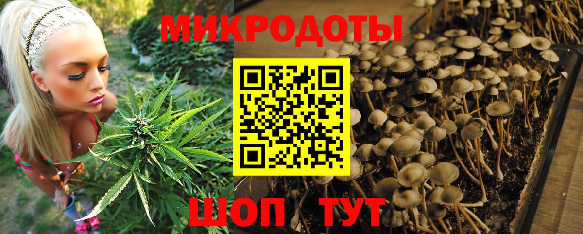 Псилоцибиновые грибы Magic Shrooms Новосибирск